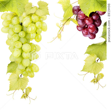 white and pink grape isolated 8919498