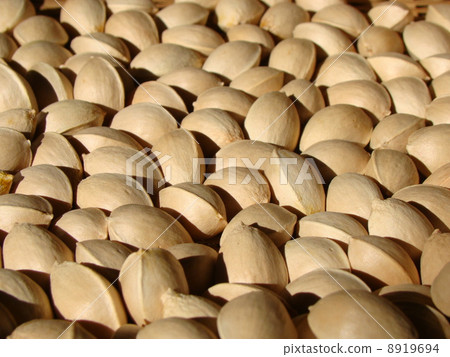 Ginkgo 8919694