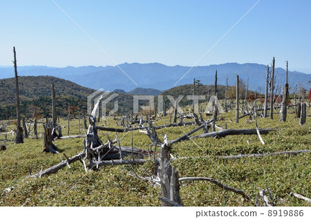 Masaki Pass at Otagichihara 8919886