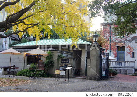 在深秋開放廣場 8922264