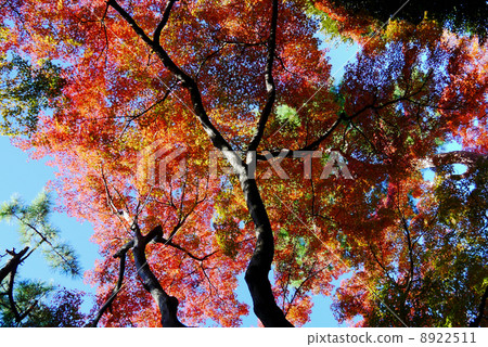 Takahagano Yado Garden 8922511