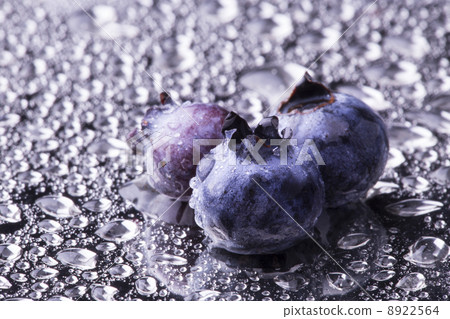 Fresh Bilberries. Close-up background Fresh Bilberries. Close-up background 8922564