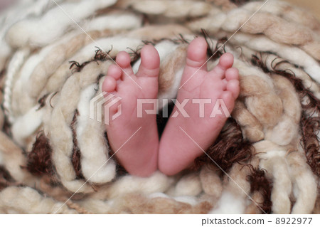 baby 8922977