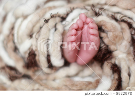 baby 8922978
