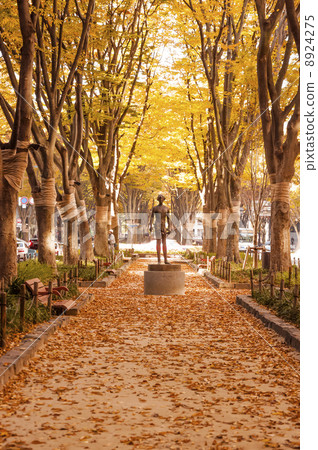 Zelkova trees on the Jozenji Temple in autumn 8924275