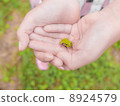 Frog on the palm of your hand 8924579