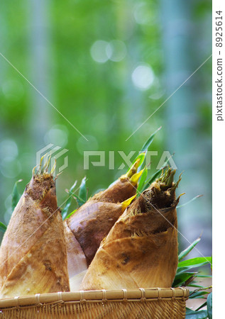 Spring bamboo shoots Spring bamboo shoots 8925614