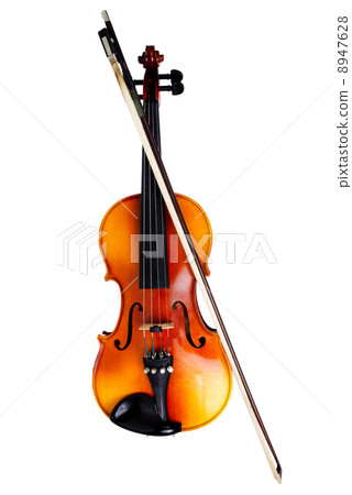 Violin 8947628