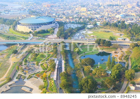 前橋公園 8948245