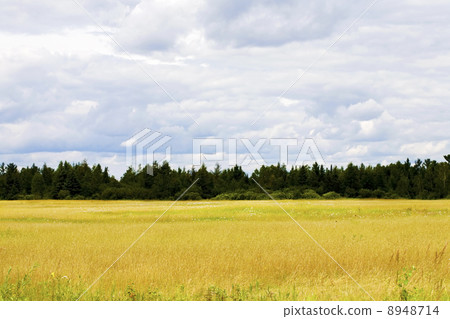 Beautiful clouds over open field 8948714