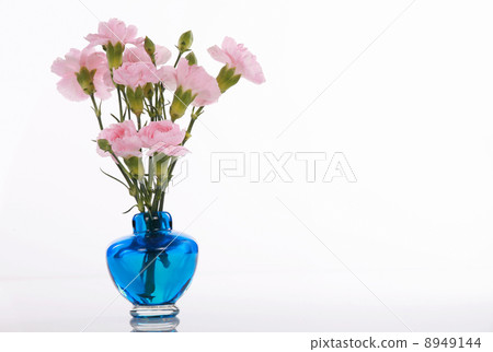 Pink carnations in blue vase 8949144