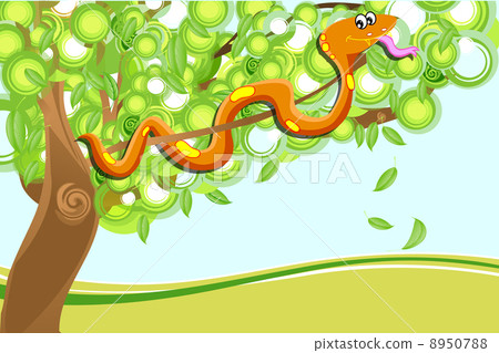 snake on tree snake on tree 8950788