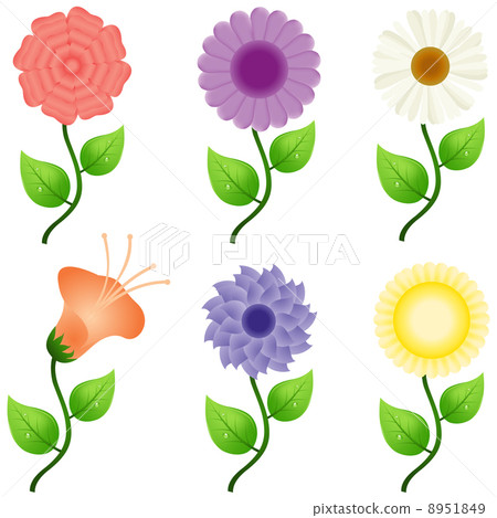 different flowers different flowers 8951849