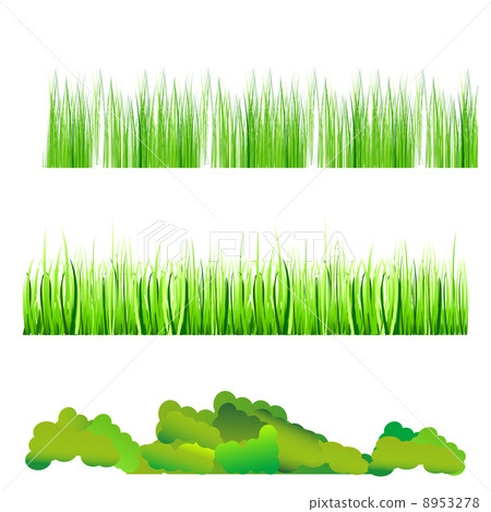 natural grass natural grass 8953278