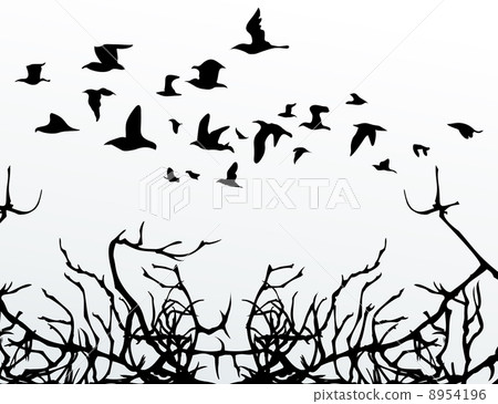 Birds over wood Birds over wood 8954196
