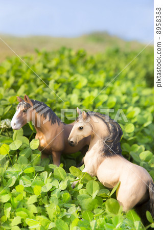 三葉草領域和馬 三葉草領域和馬 8958388