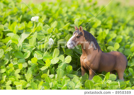 三葉草領域和馬 三葉草領域和馬 8958389