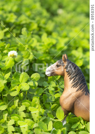 三葉草領域和馬 三葉草領域和馬 8958391