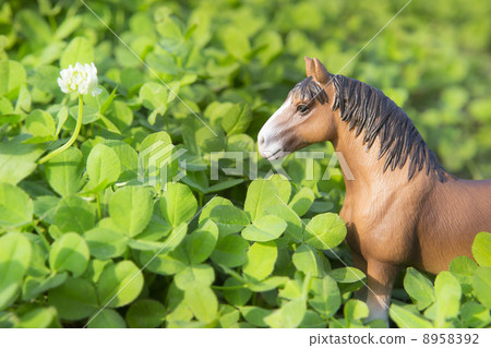 三葉草領域和馬 三葉草領域和馬 8958392