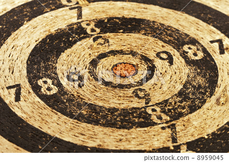 used target 8959045