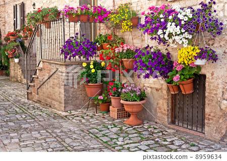 view of spello town view of spello town 8959634