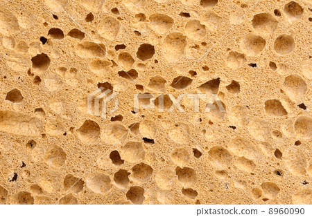 sponge texture sponge texture 8960090