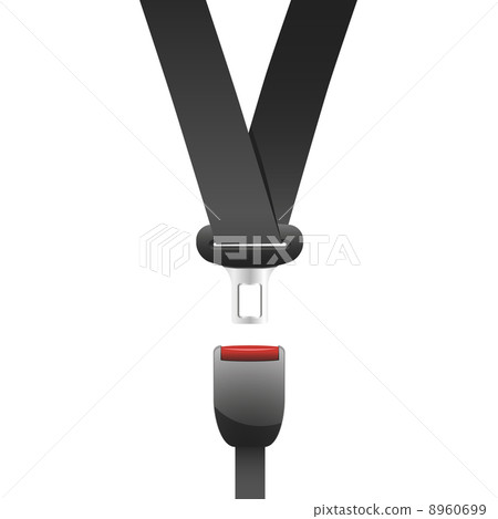 Seat Belt Seat Belt 8960699