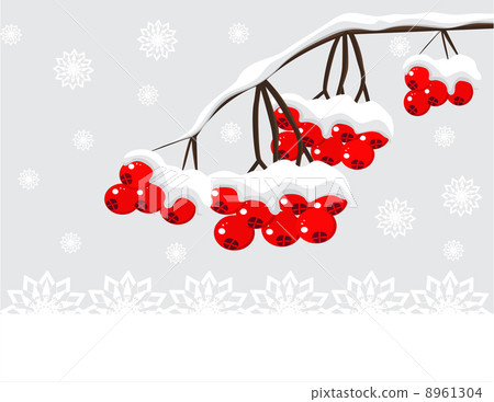 Winter background with red berries and snow 8961304