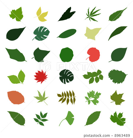 leaf2 8963489