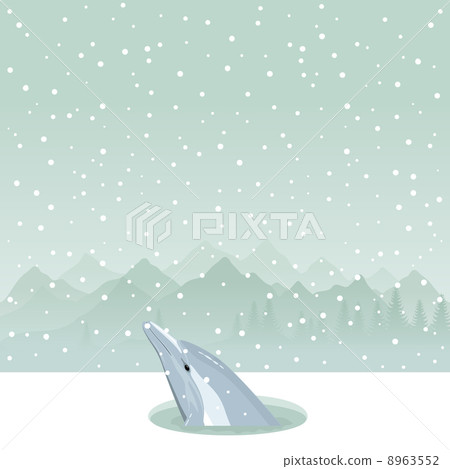 Dolphin in an ice-hole 8963552