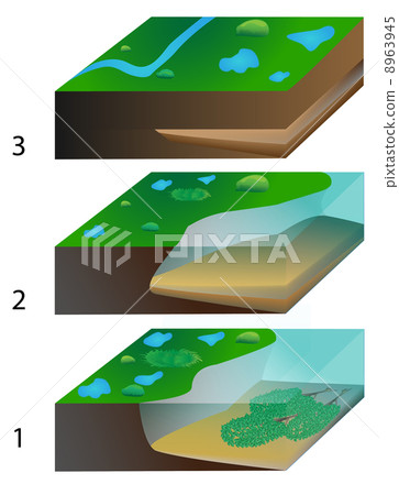 peat formation peat formation 8963945