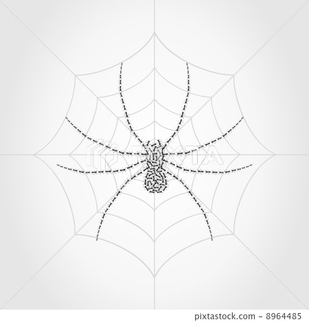 Spider4 8964485