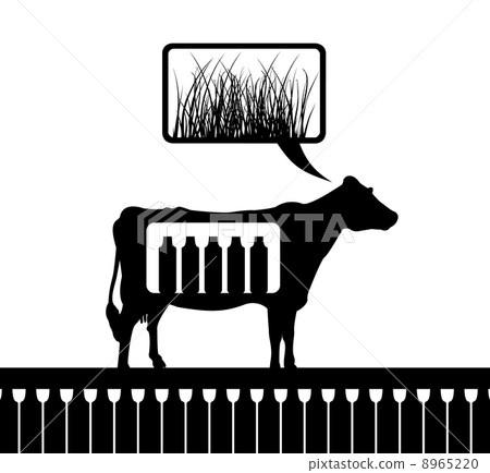 Cow4 - Stock Illustration [8965220] - PIXTA