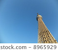 Blue Sky and Sky Tree 8965929