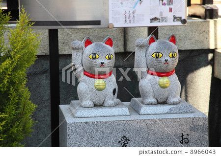 Imekoto Shrine's lucky cat 8966043