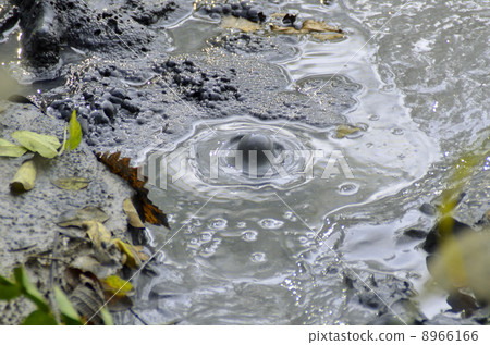 北海道釧路市阿寒Bokke 8966166