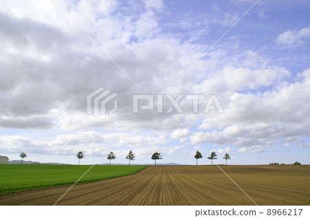 奧林匹克城山童話故事北海道 奧林匹克城山童話故事北海道 8966217