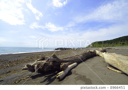 The seaside of the Hokkaido Hidaka area The seaside of the Hokkaido Hidaka area 8966451
