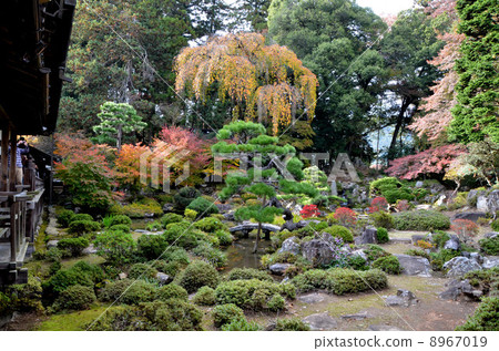 Autumn of Shurinji garden that Yumeiri Koki made 8967019