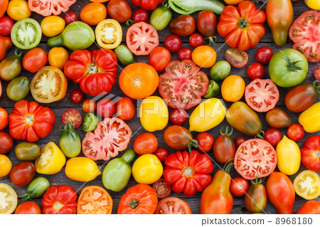 colorful tomatoes colorful tomatoes 8968180