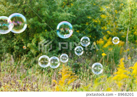 soap bubble outdoor soap bubble outdoor 8968201