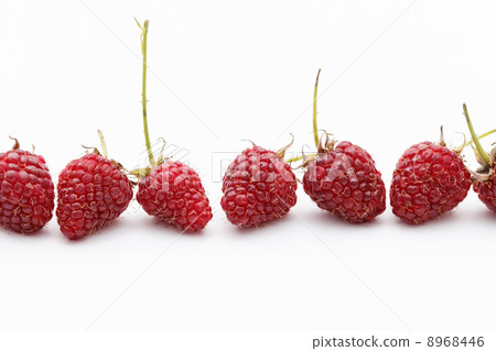 fresh raspberries fresh raspberries 8968446