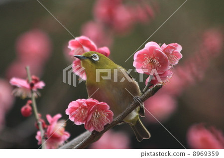 Take care of yourself 8969359