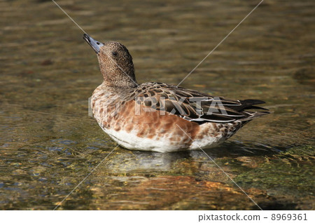 Take care of yourself 8969361