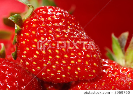 strawberry 8969760