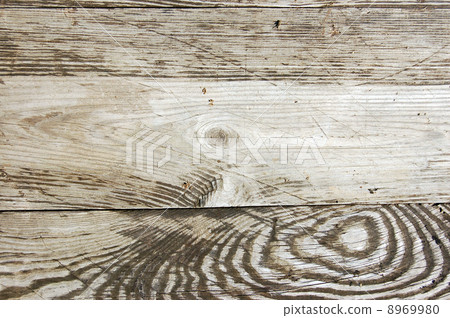 Wood texture 8969980