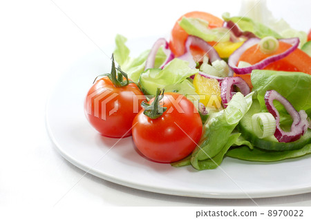 Salad 8970022