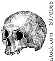 Engraved human skull 8970968