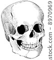 Engraved human skull 8970969