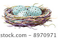 Bird's nest with robin eggs 8970971